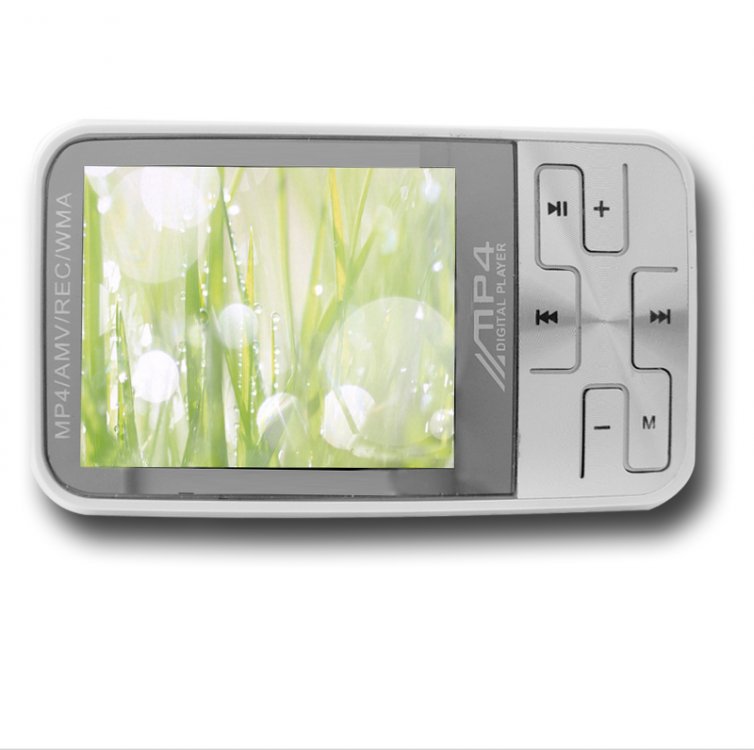 eeelectronics 2-Inch TFT Screen 1GB MP3/MP4 Player