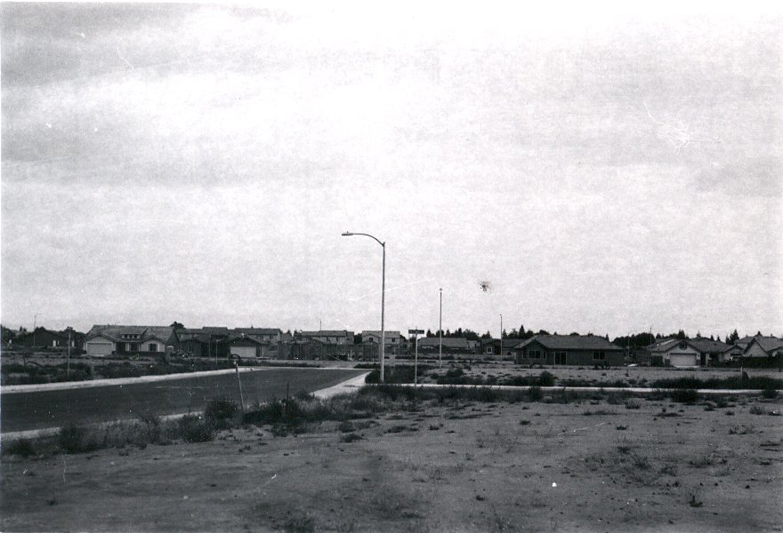 Abandoned Calloway Dr. Development