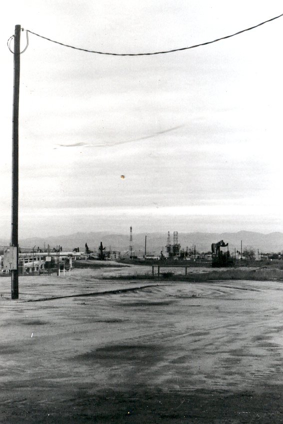 Rosedale Oil Pump (2)