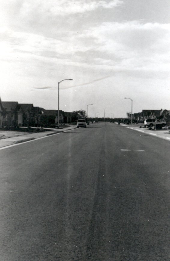 Suburban Street