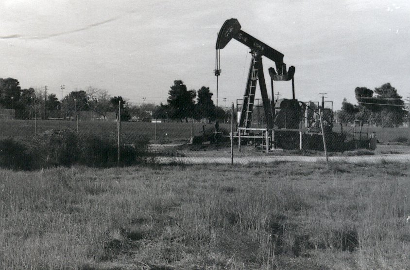 Rosedale Oil Pump (3)