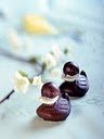 Chocolate Duck