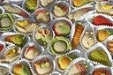 Marzipan Chocolates
