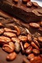 Free Ebook - The Chocolate Experience