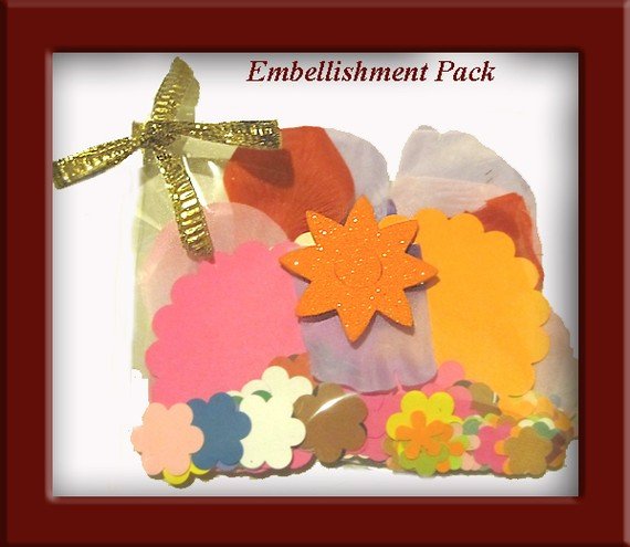 Punch Pack Embellishment Kit