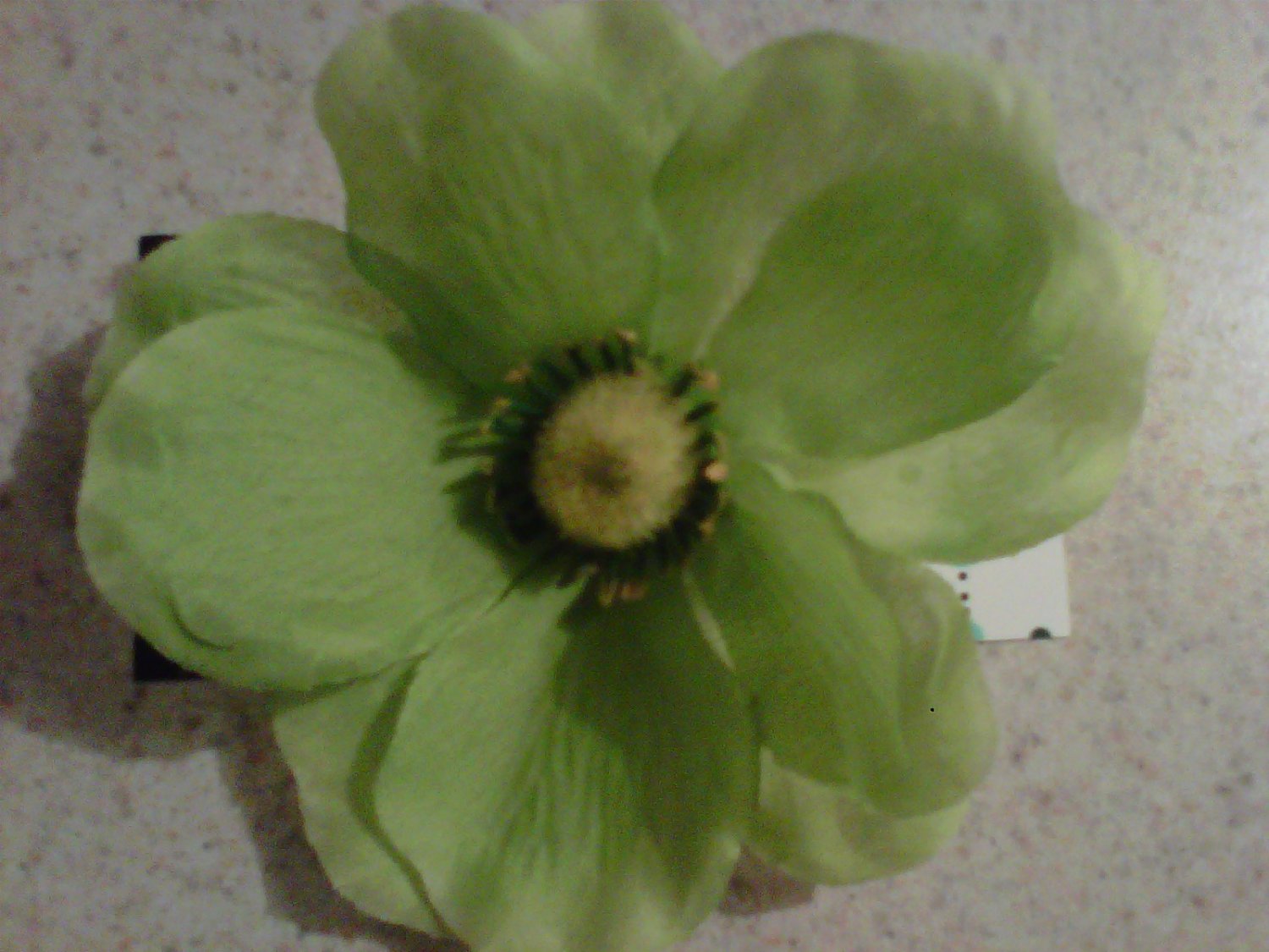 Green Petalle Flower Clip