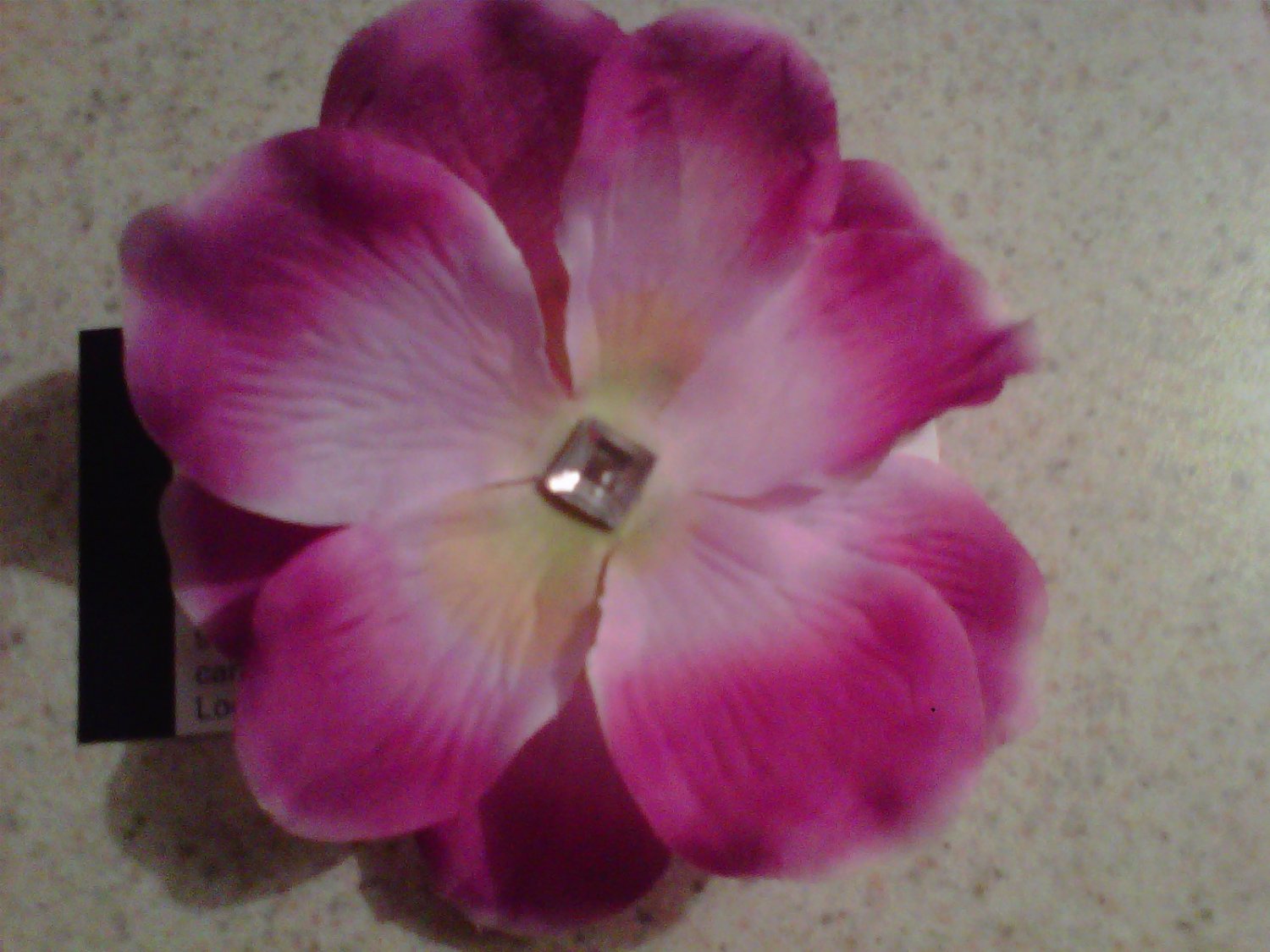 Fuchsia Petalle Clip