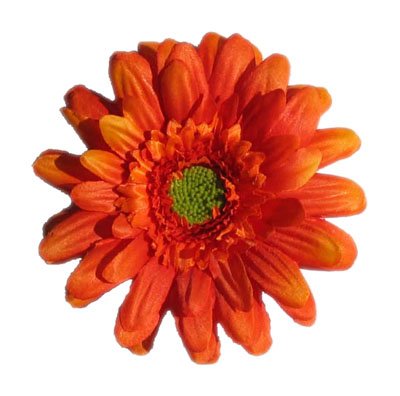 Orange Gerbera Daisy Clip
