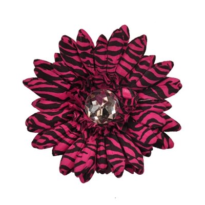 Pink Zebra Daisy Clip