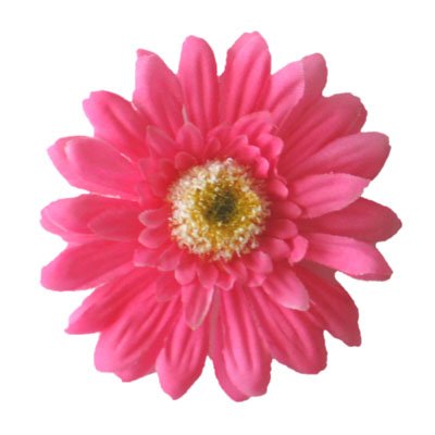 Pink Gerbera Daisy Clip