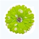Green Polka Dot Daisy Clip