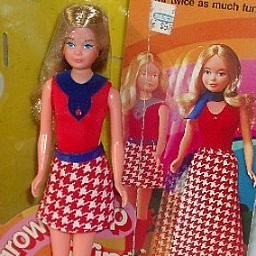 Vintage Growing Up Skipper New In Box