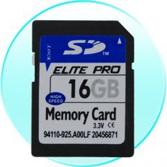 16GB SD Memory Card (Single)