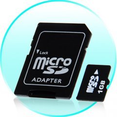 1GB MicroSD / TF Card with SD Card Slot Adapter - 10 pcs/lot