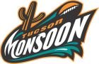 Seattle Majestics Adult Ticket - vs. Tucson Monsoon (5/26/07)