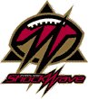 Seattle Majestics Adult Ticket - vs. Portland Shockwave (6/2/07)