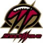Seattle Majestics Youth Ticket - vs. Portland Shockwave (6/2/07)