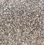 Granite Tile 12x12 Java Brown Polished
