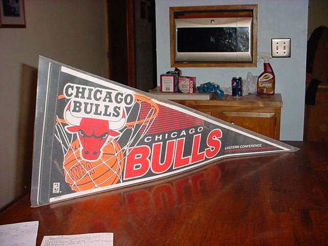 Chicago Bulls Eastern Conference Pennent