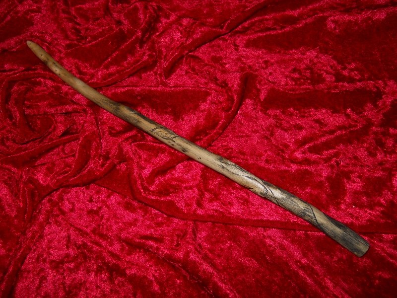 Elm âBlack Leavedâ Wand