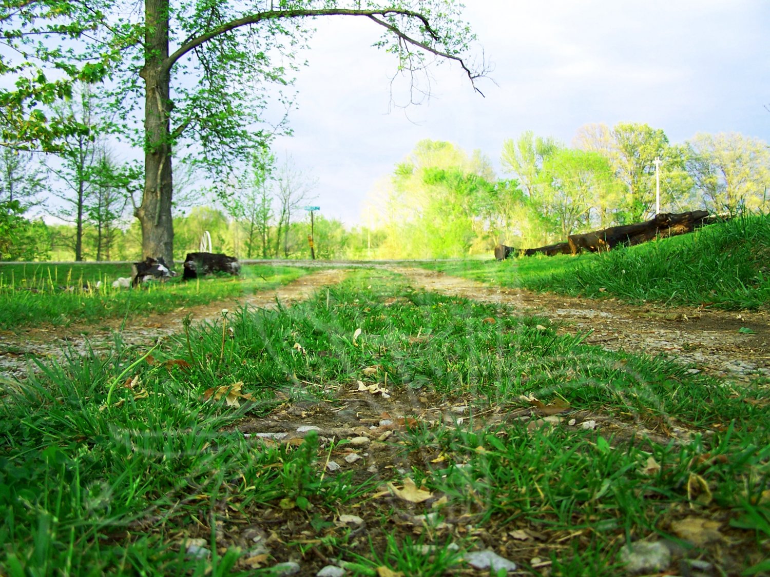 Down The Driveway