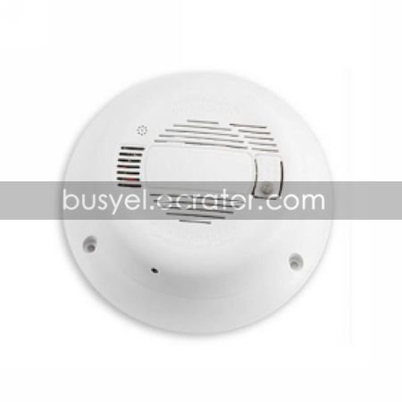 Wall Surveillance Camera with Sony CCD Lens + Night Vision
