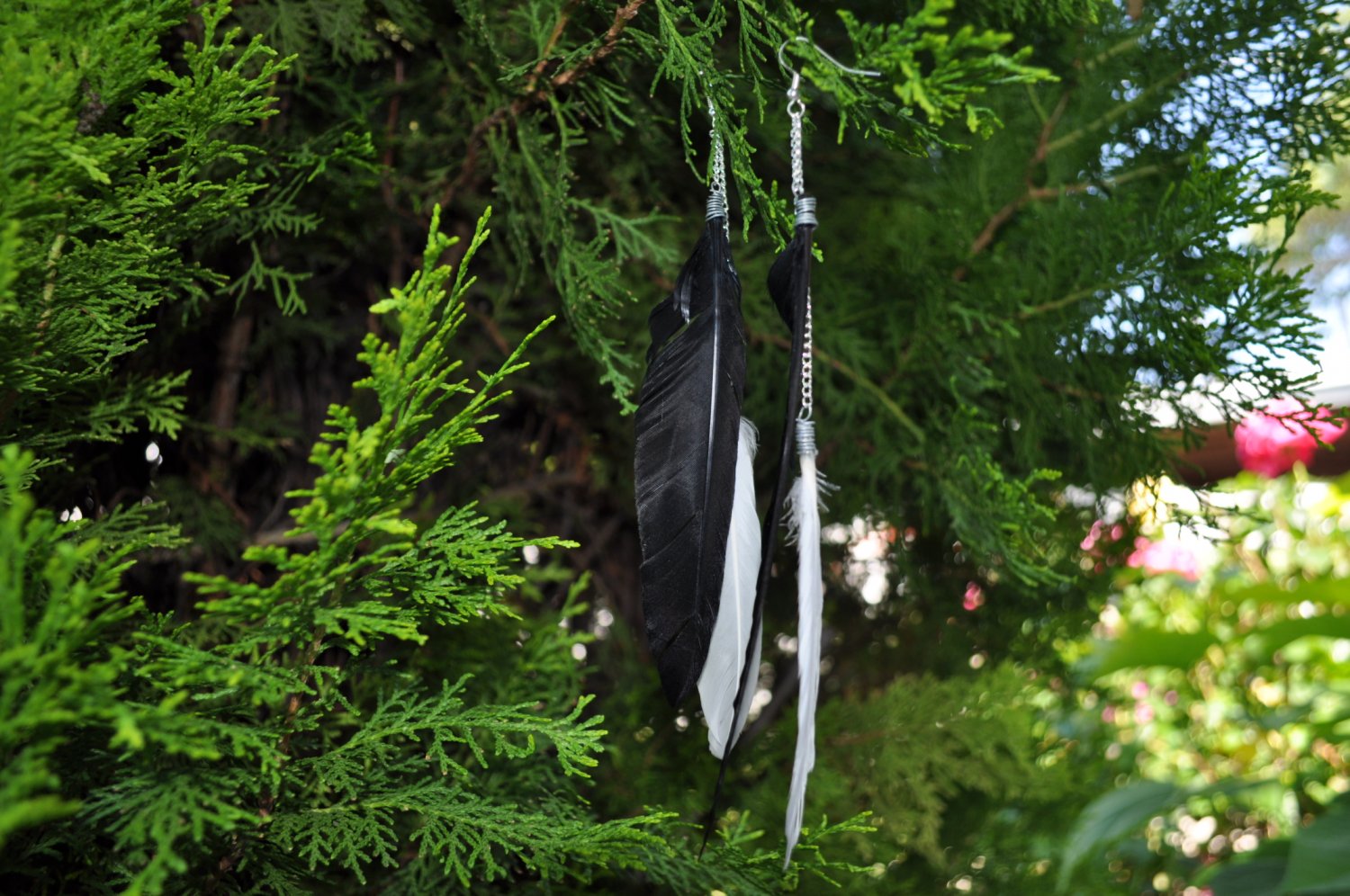 Black & White Feather Earrings