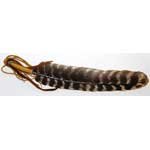 Leather Wrapped smudging feather 12" - RSFEA