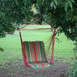 Pawleys Island Cushioned Single Hammock Swing - Trellis Garden