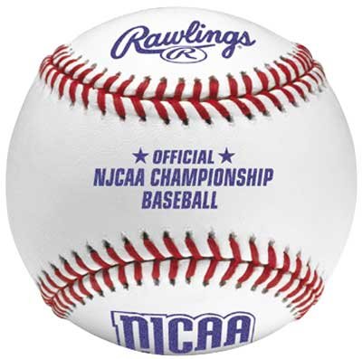 Rawlings R100NJCAA College Baseballs