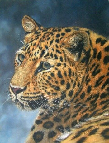 LEOPARD 2 New DAVID STRIBBLING Ltd Ed Wildlife Print.