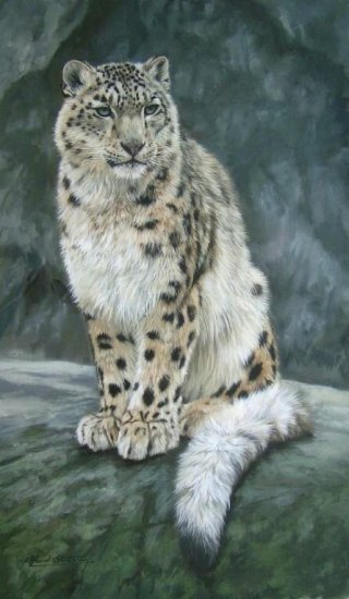 SNOW LEOPARD New DAVID STRIBBLING Ltd Ed Wildlife Print.