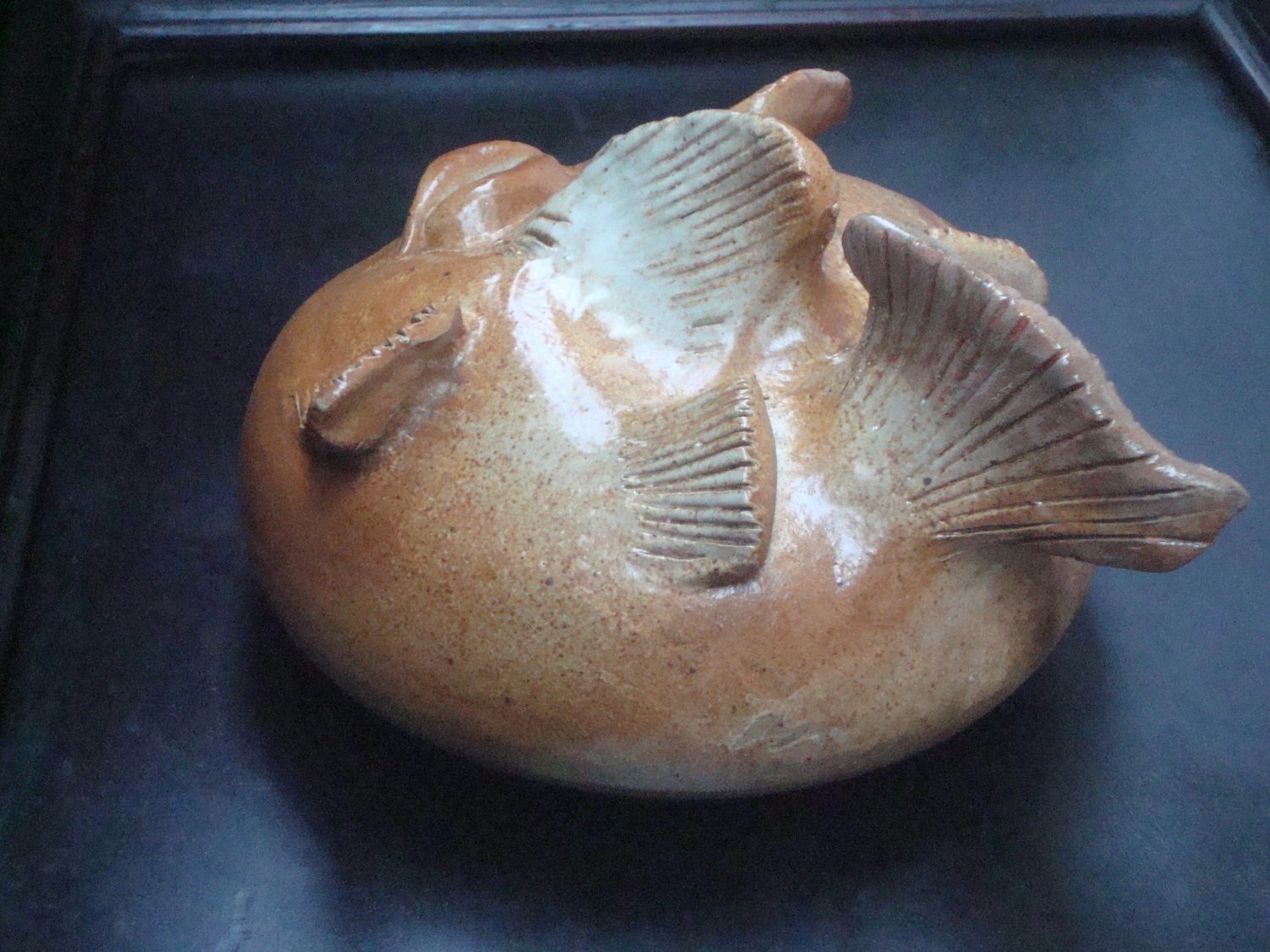 Terracotta Bubblefish
