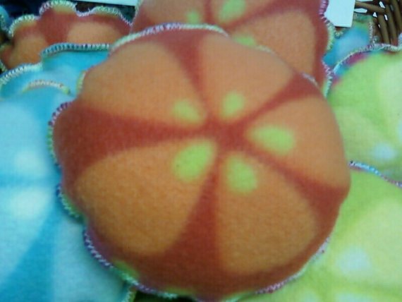Sand Dollar Catnip Toy