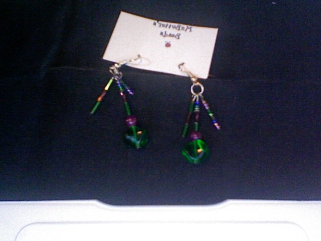 Earrings