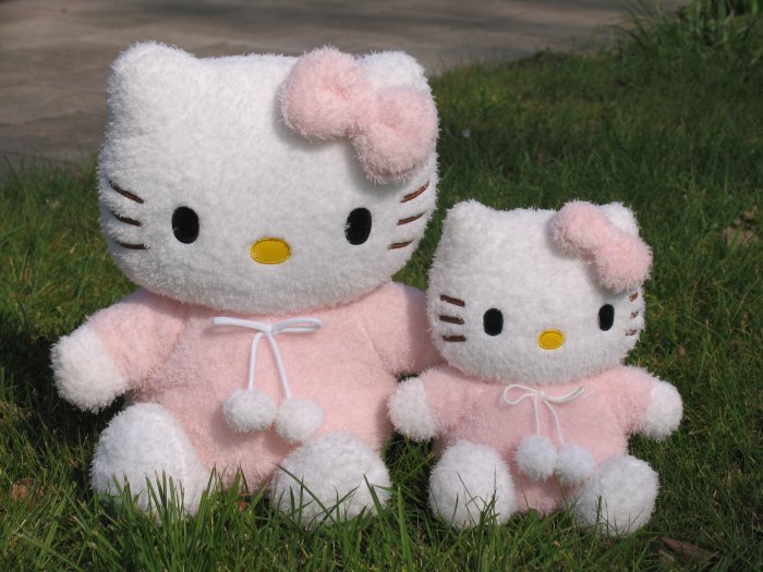 Sanrio Hello Kitty plush (Small)