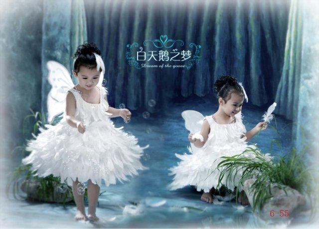 Girl BALLET TUTU DANCE DRESS PARTY DRESS style47