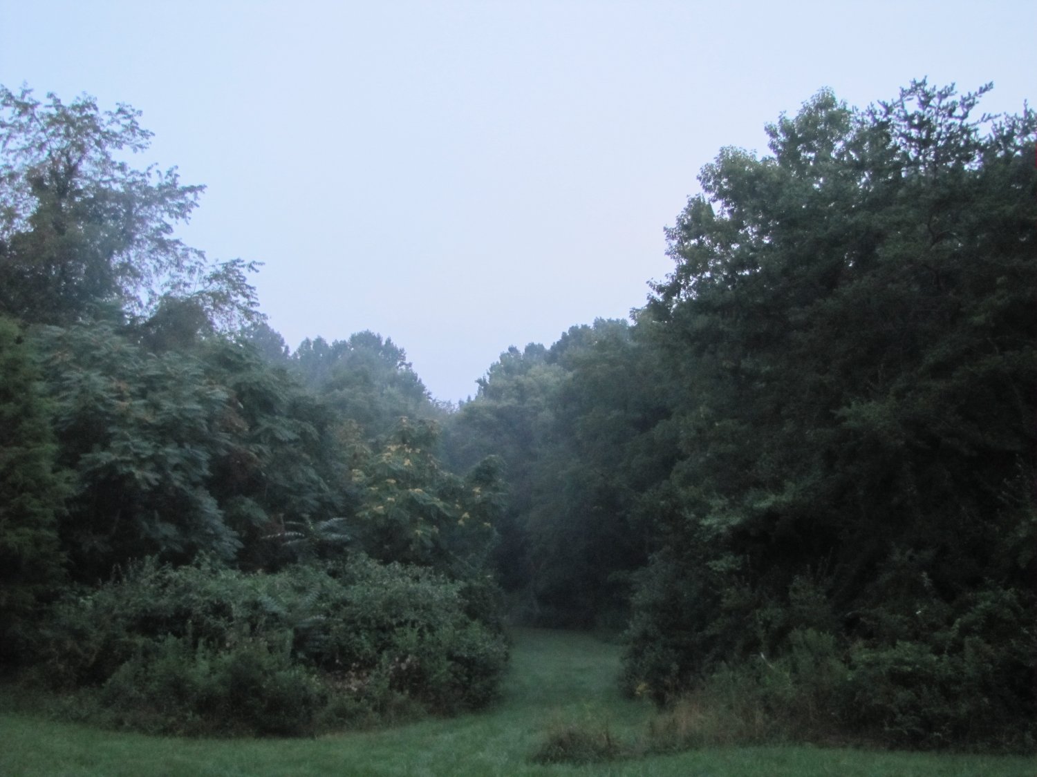 Adventure, Ho! (landscape)