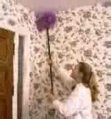 Big Wally Wall Brush Give cobwebs the brush off