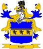 Taylor Coat of Arms in Cross Stitch