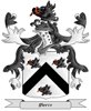 Pierce Coat of Arms in Cross Stitch
