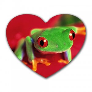 tree frog heart