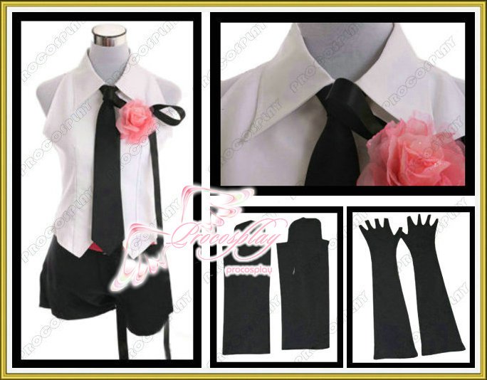 Vocaloid Camellia Kasane Teto Cosplay Costume