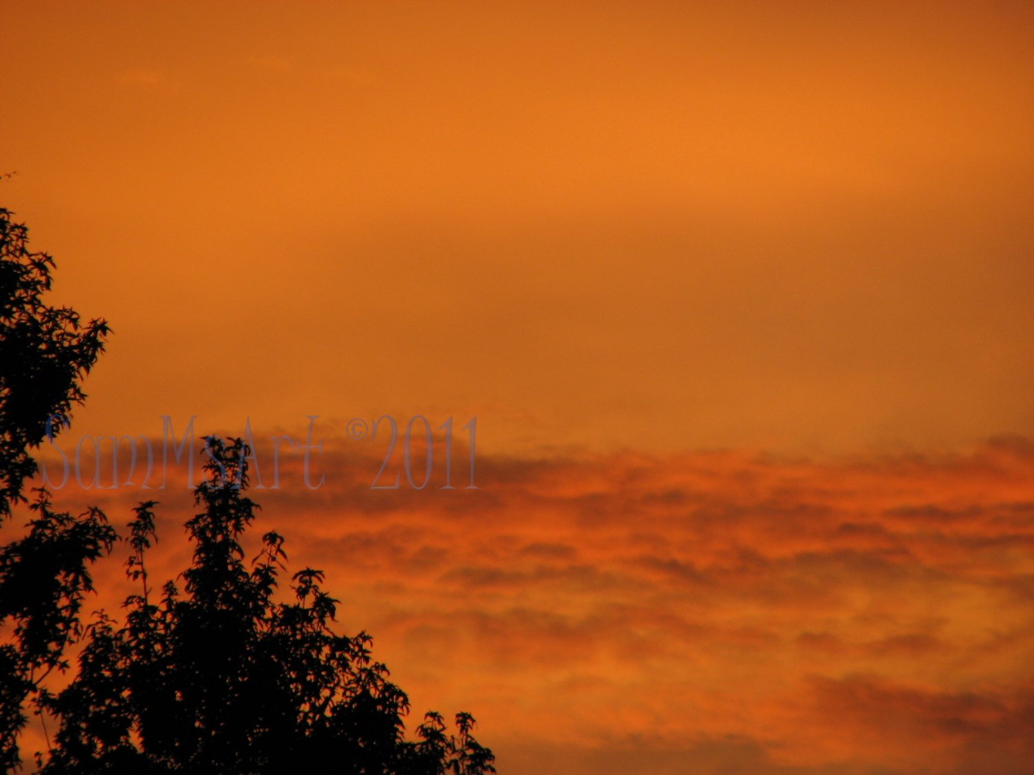 August 12 - 8x10 Print, Digital Fine Art Image Photo - Sunset, summer, fall, Power lines, Clouds