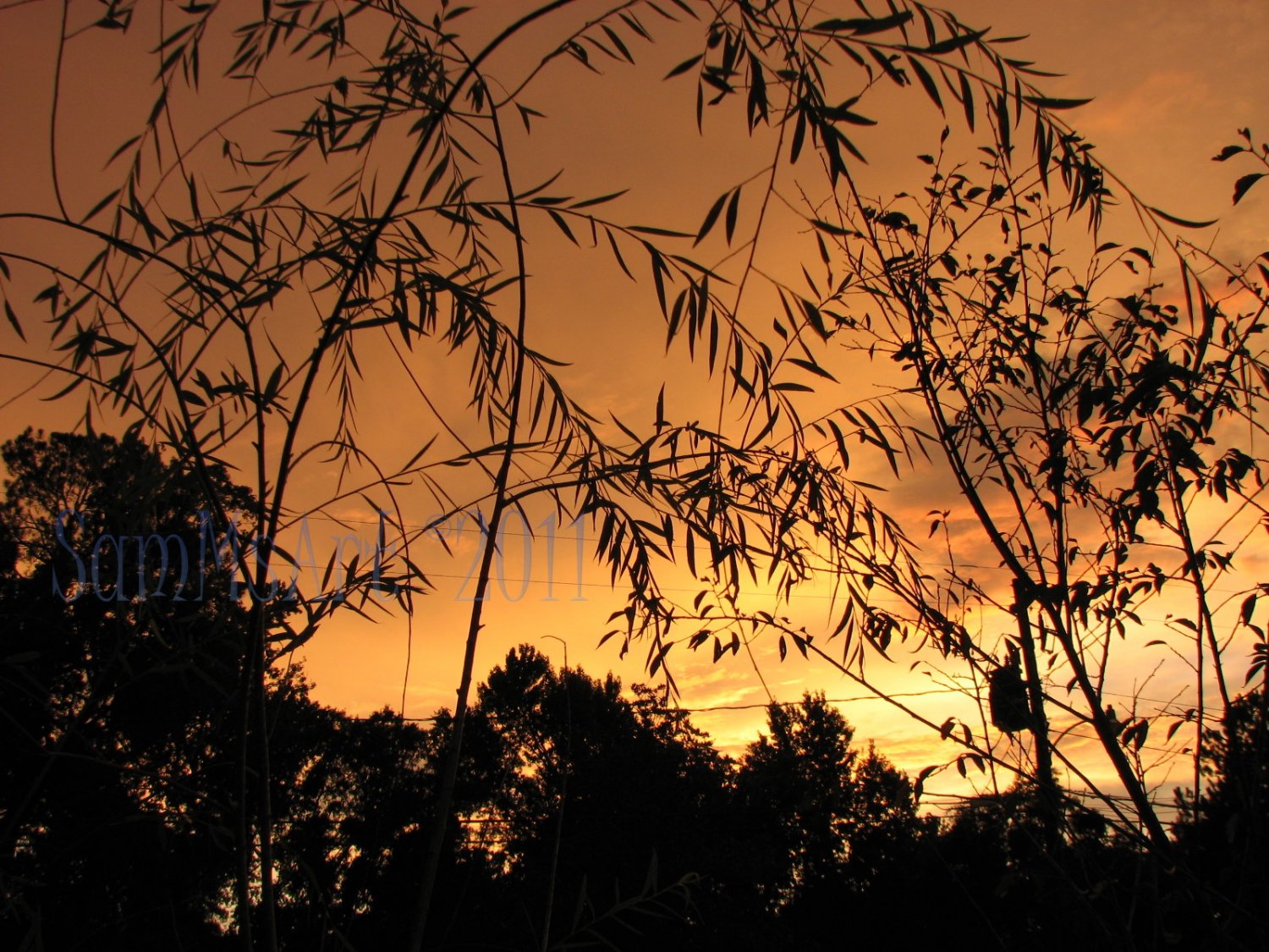 August 5 - 8x10 Print, Digital Fine Art Image Photo - Sunset, summer, fall, Power lines, Clouds