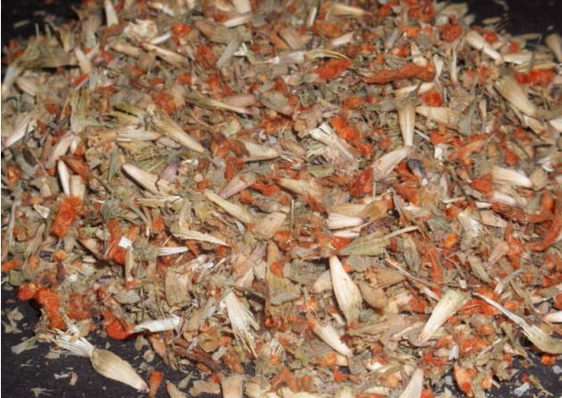 14g KLIP DAGGA "Not Wild" LEONOTIS NEPETIFOLIA Flowers