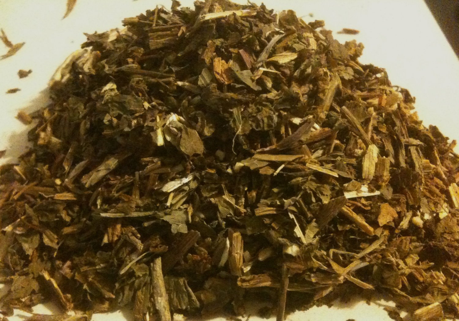 1g FRESH Lactuca Virosa - WILD LETTUCE - Dried Herb