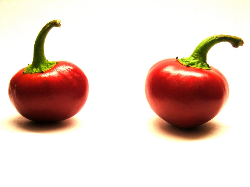 10 Cherry Bomb Hot Chile Pepper Plant Seeds Succulent!!