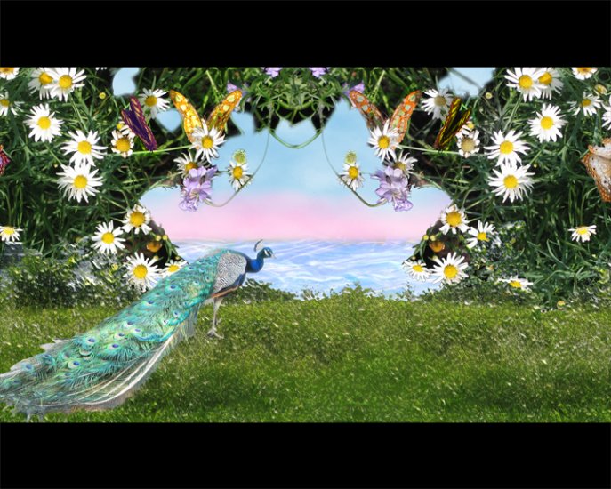 Magic Garden