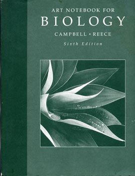 Art Notebook For Biology